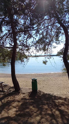İncekum Nature Park Yerel İşletme fotoğrafı 4