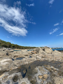 İncekum Nature Park Yerel İşletme fotoğrafı 5